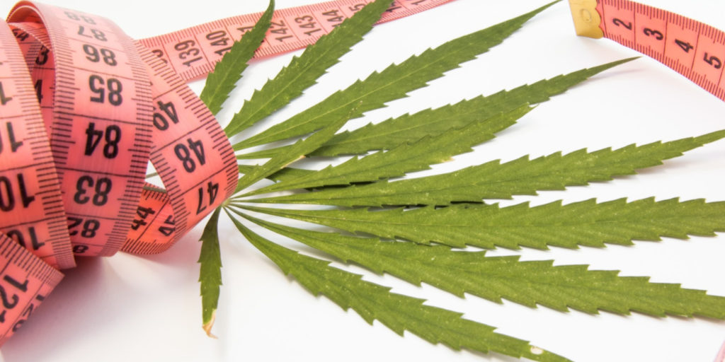 cannabis for weight loss